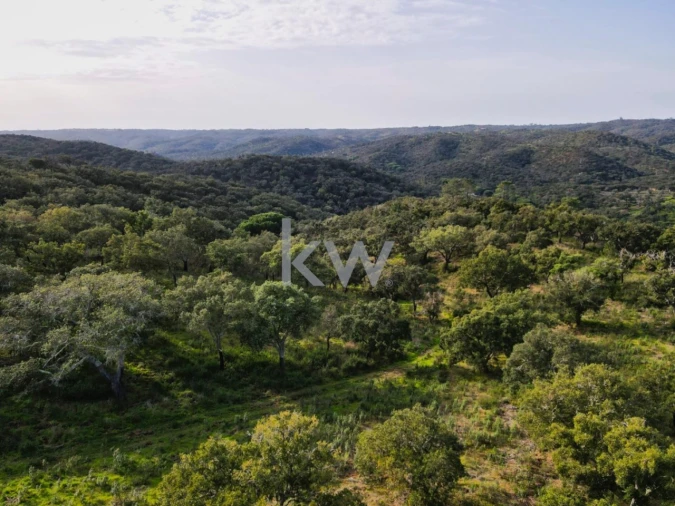 Quinta T1 para Venda em Grândola e Santa Margarida da Serra Foto 19
