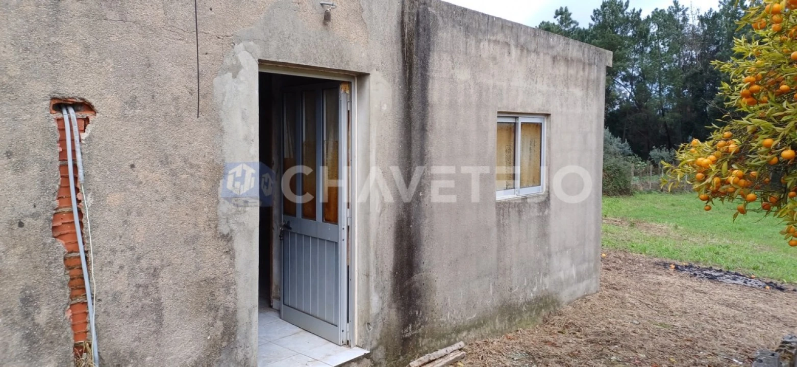 Moradia T4 para Venda em Cernache do Bonjardim, Nesperal e Palhais Foto 6