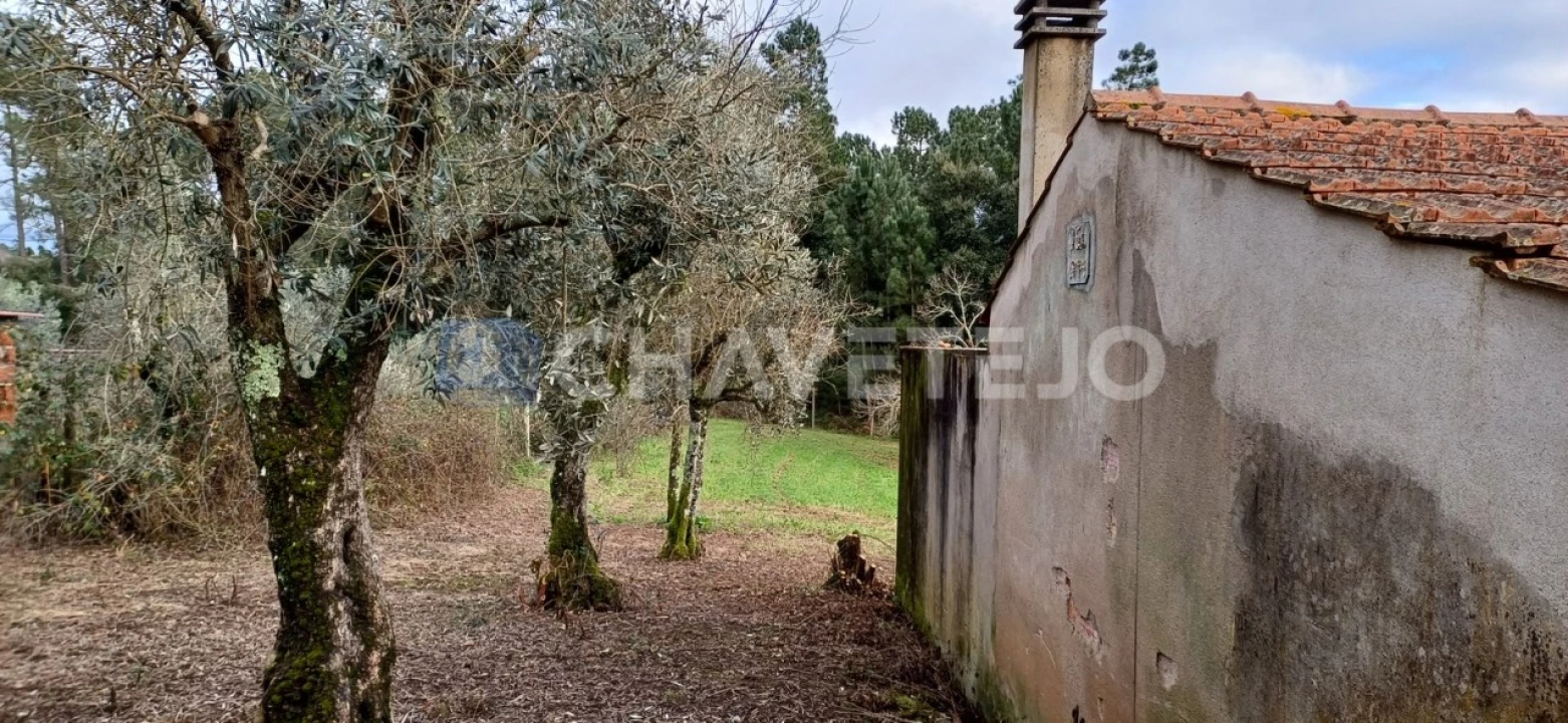 Moradia T4 para Venda em Cernache do Bonjardim, Nesperal e Palhais Foto 23