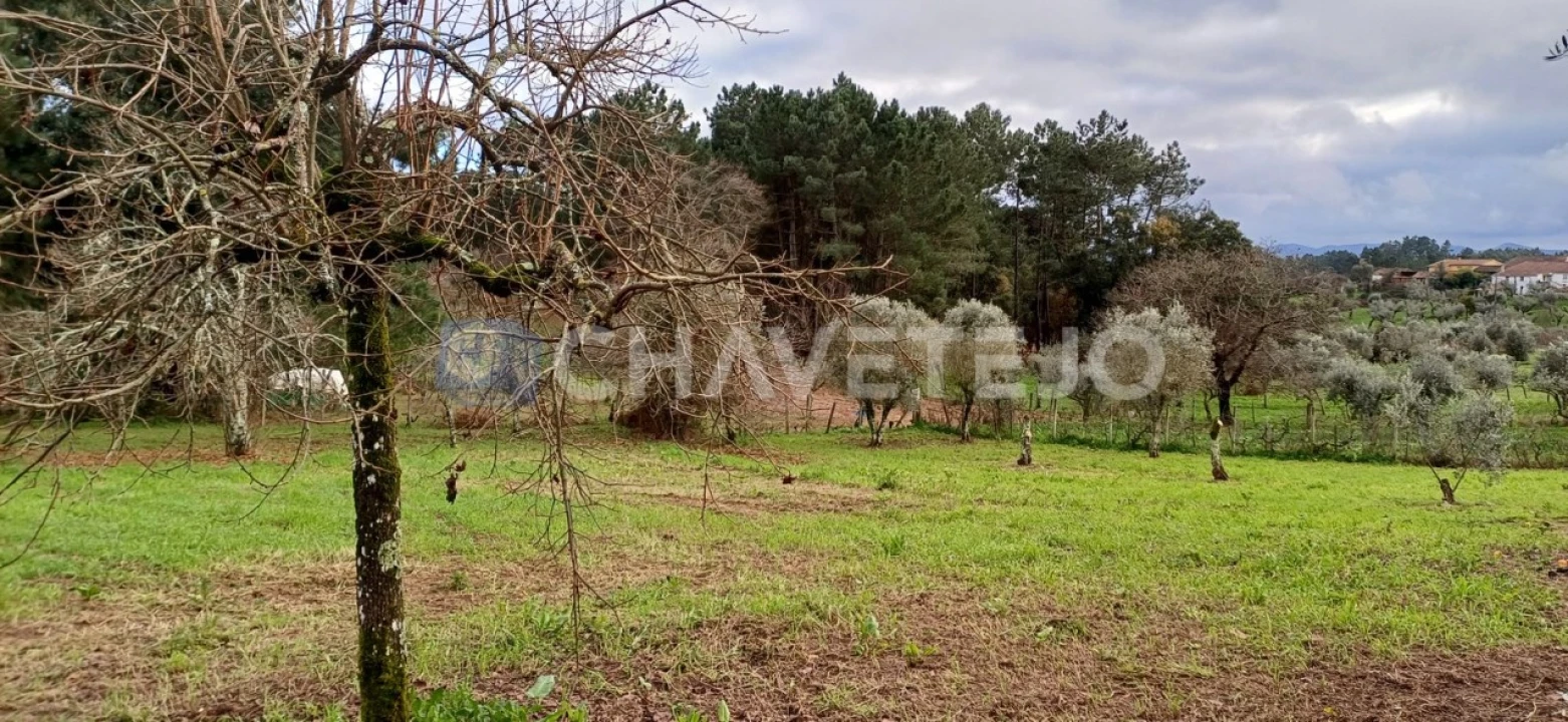 Moradia T4 para Venda em Cernache do Bonjardim, Nesperal e Palhais Foto 28