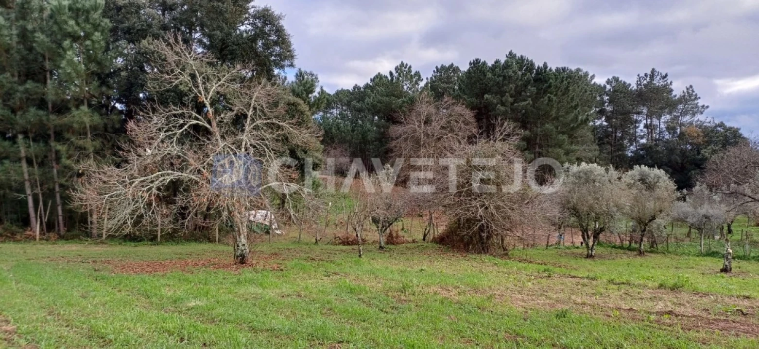 Moradia T4 para Venda em Cernache do Bonjardim, Nesperal e Palhais Foto 29