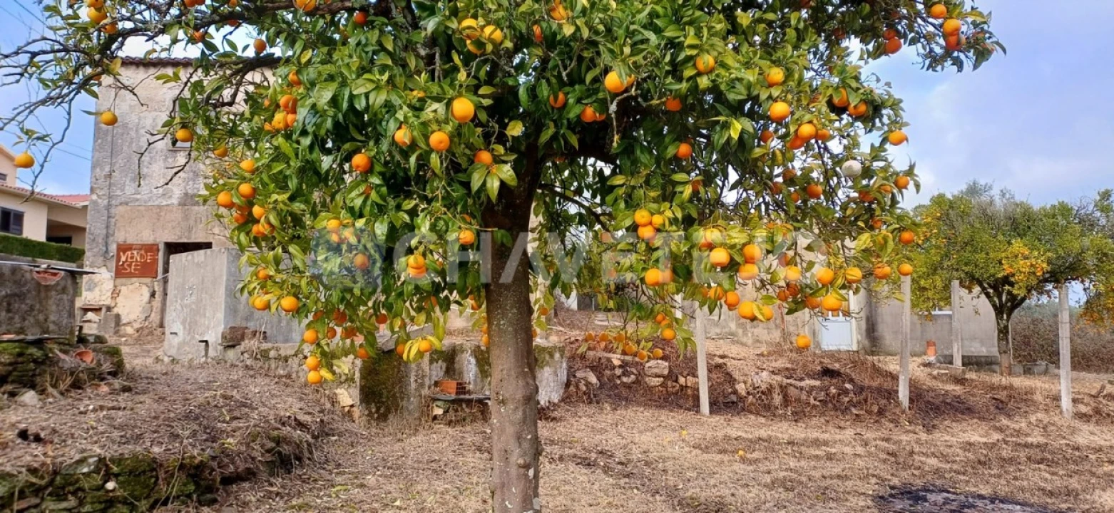 Moradia T4 para Venda em Cernache do Bonjardim, Nesperal e Palhais Foto 33