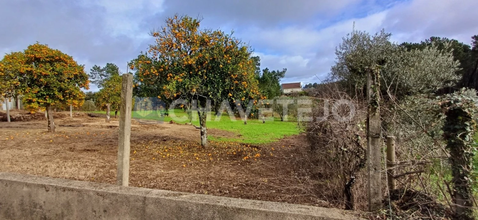 Moradia T4 para Venda em Cernache do Bonjardim, Nesperal e Palhais Foto 35