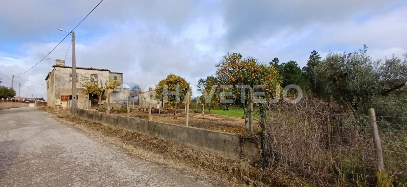 Moradia T4 para Venda em Cernache do Bonjardim, Nesperal e Palhais Foto 36