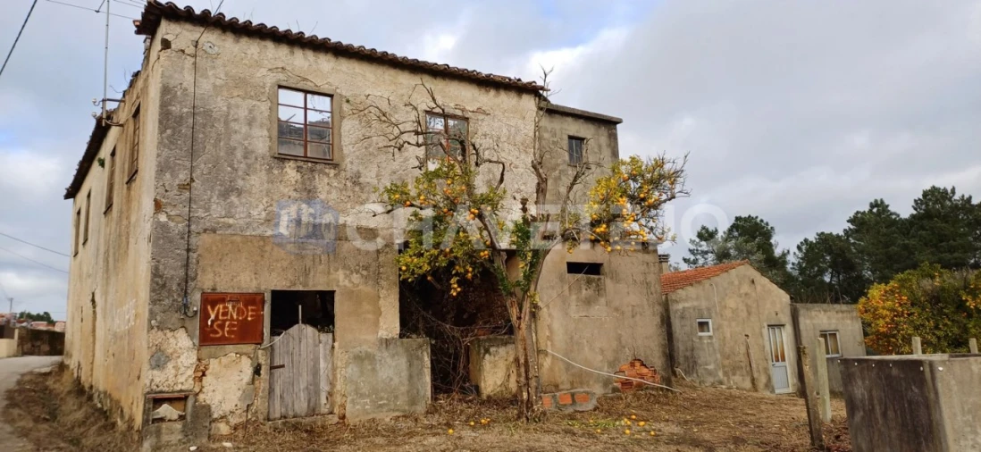 Moradia T4 para Venda em Cernache do Bonjardim, Nesperal e Palhais Foto 2