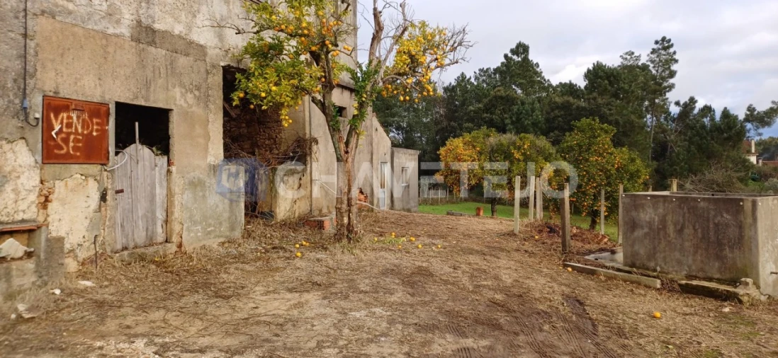 Moradia T4 para Venda em Cernache do Bonjardim, Nesperal e Palhais Foto 22