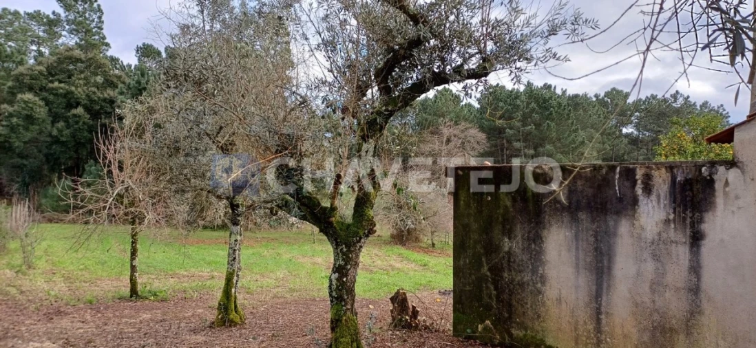 Moradia T4 para Venda em Cernache do Bonjardim, Nesperal e Palhais Foto 24