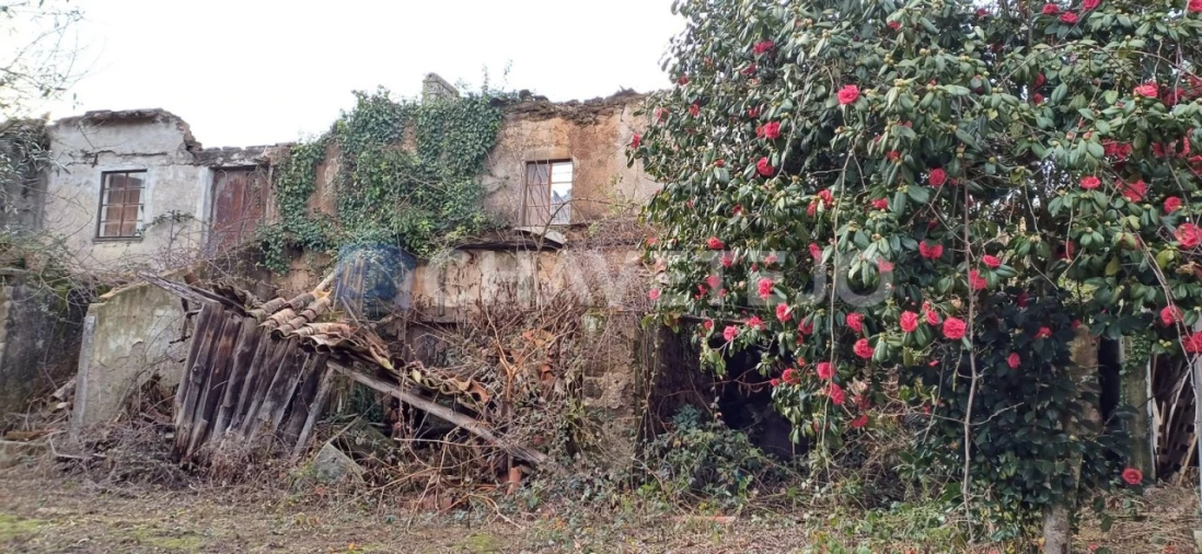 Moradia T4 para Venda em Cernache do Bonjardim, Nesperal e Palhais Foto 25