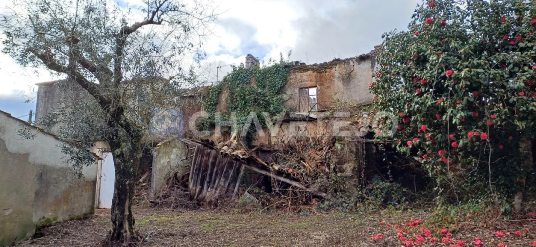 Moradia T4 para Venda em Cernache do Bonjardim, Nesperal e Palhais Foto 26
