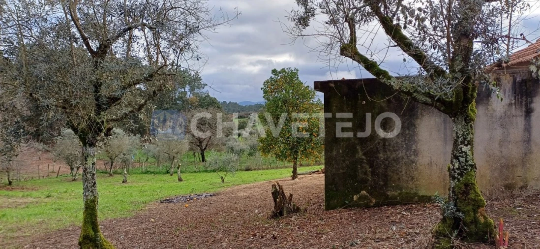 Moradia T4 para Venda em Cernache do Bonjardim, Nesperal e Palhais Foto 27