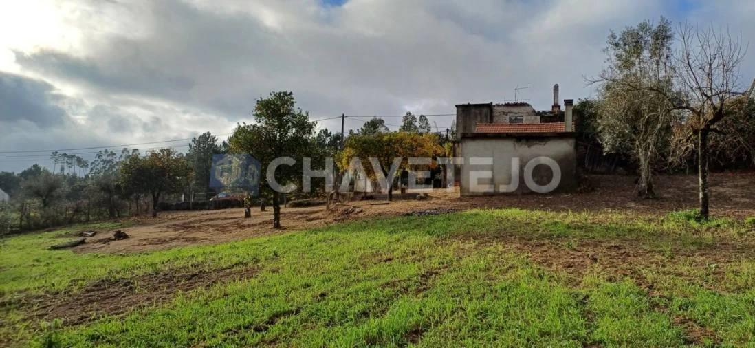Moradia T4 para Venda em Cernache do Bonjardim, Nesperal e Palhais Foto 30