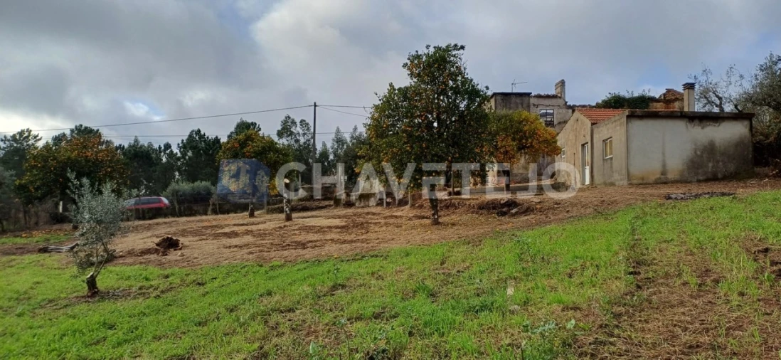 Moradia T4 para Venda em Cernache do Bonjardim, Nesperal e Palhais Foto 31