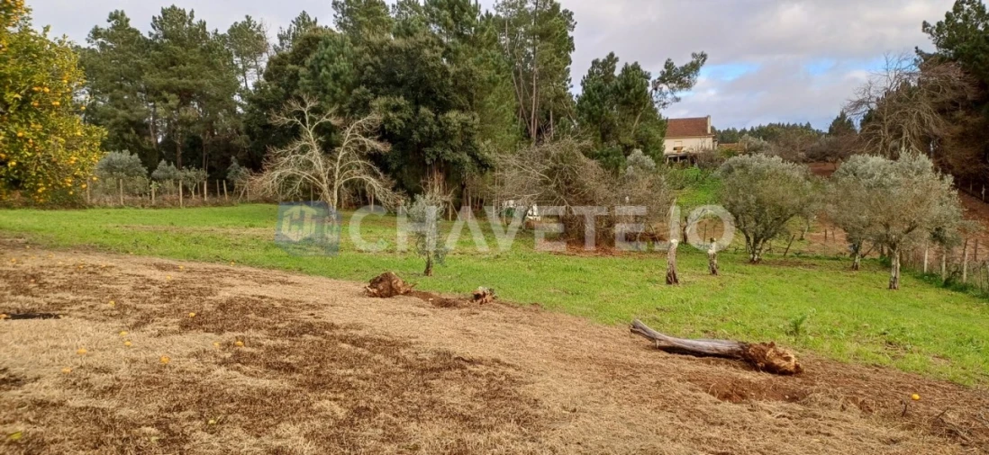 Moradia T4 para Venda em Cernache do Bonjardim, Nesperal e Palhais Foto 32