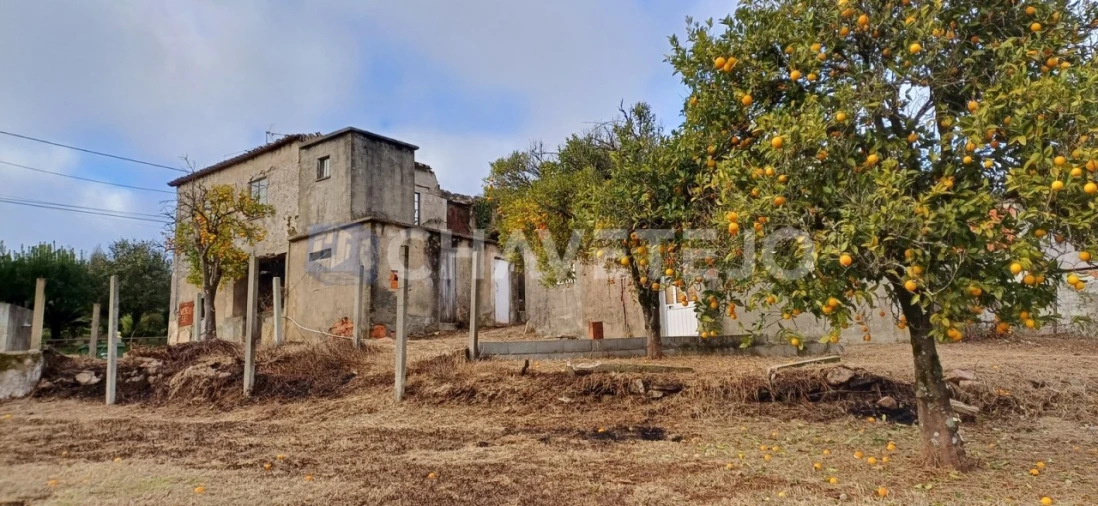 Moradia T4 para Venda em Cernache do Bonjardim, Nesperal e Palhais Foto 34