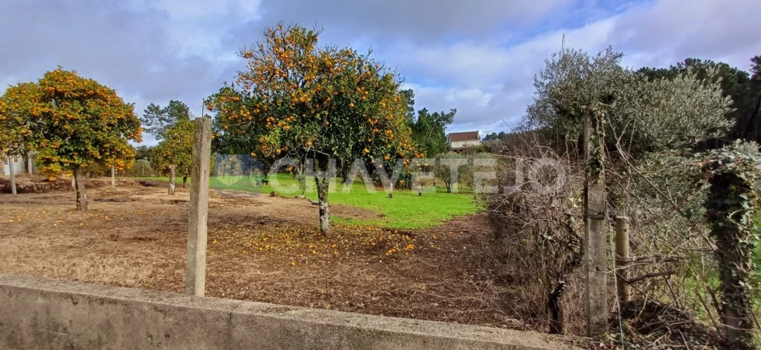 Moradia T4 para Venda em Cernache do Bonjardim, Nesperal e Palhais Foto 35