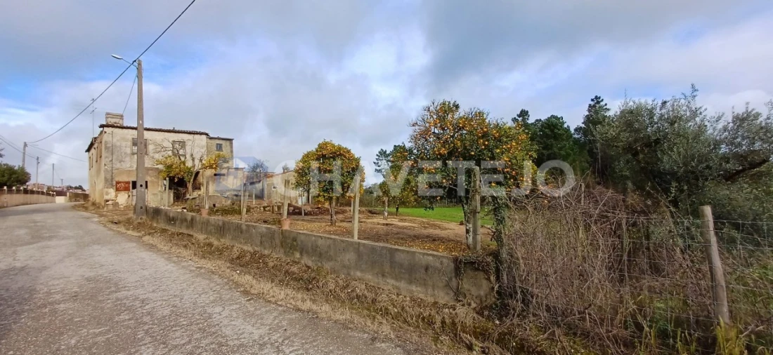 Moradia T4 para Venda em Cernache do Bonjardim, Nesperal e Palhais Foto 36