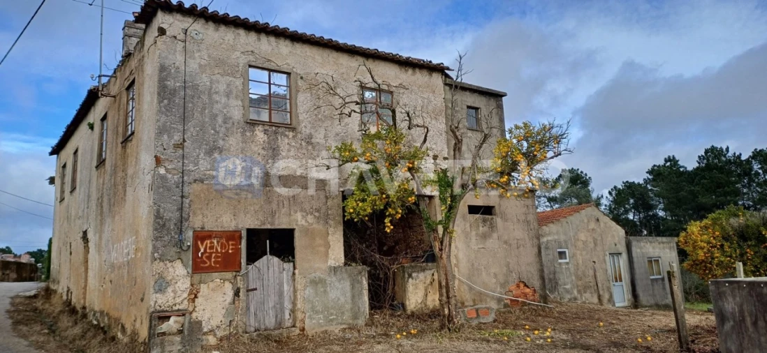 Moradia T4 para Venda em Cernache do Bonjardim, Nesperal e Palhais Foto 38