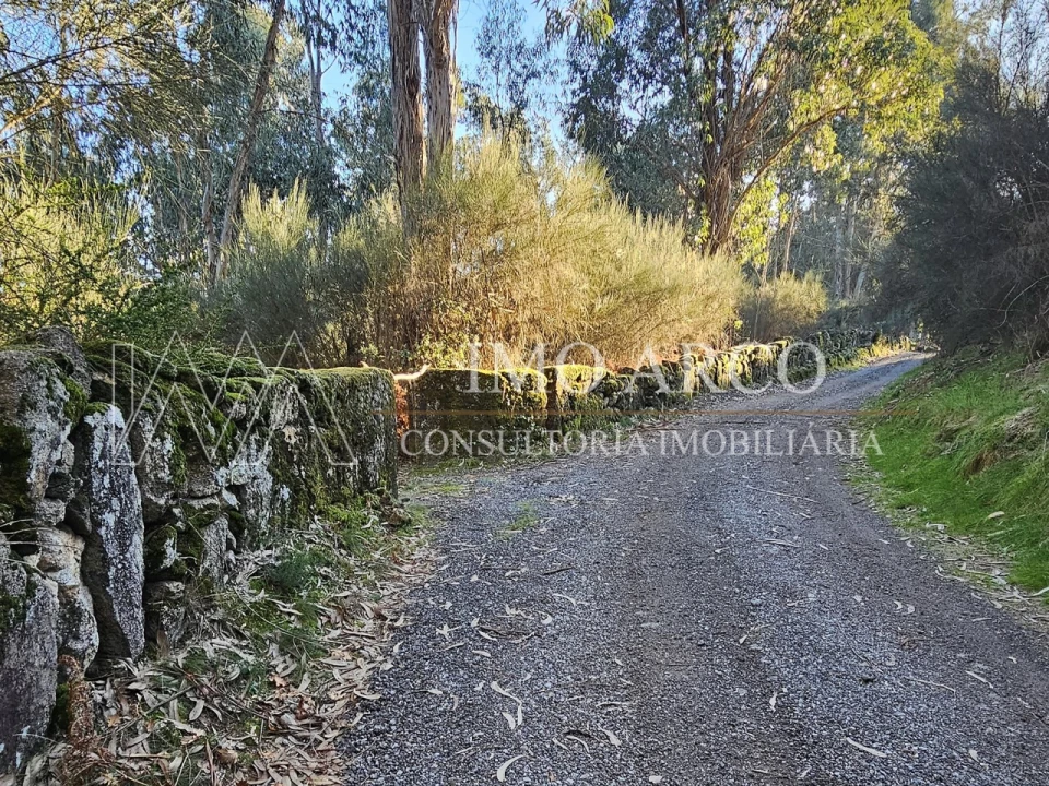 Terreno Agricola ou Rústico para Venda em Pedraça Foto 5