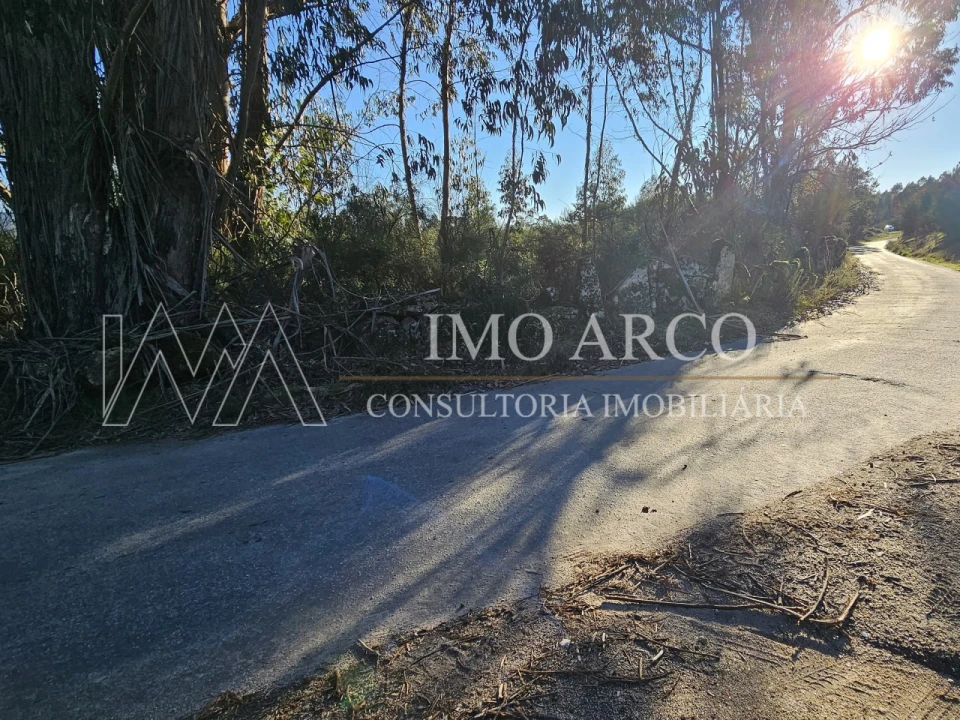 Terreno Agricola ou Rústico para Venda em Pedraça Foto 10