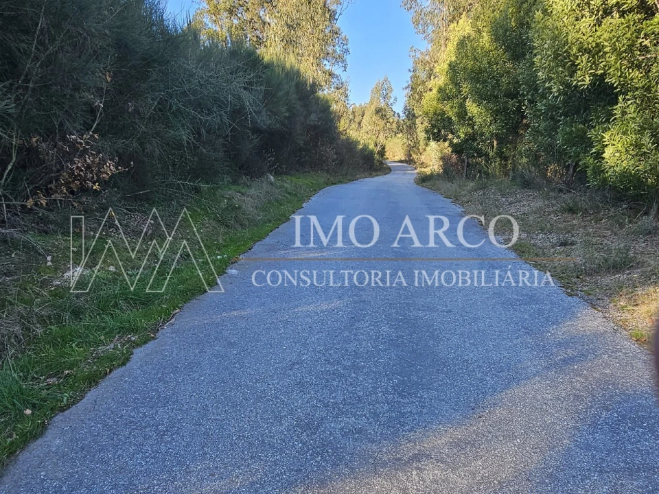 Terreno Agricola ou Rústico para Venda em Pedraça Foto 12