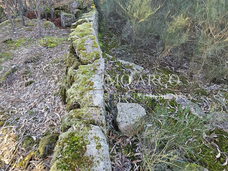 Terreno Agricola ou Rústico para Venda em Pedraça Foto 14