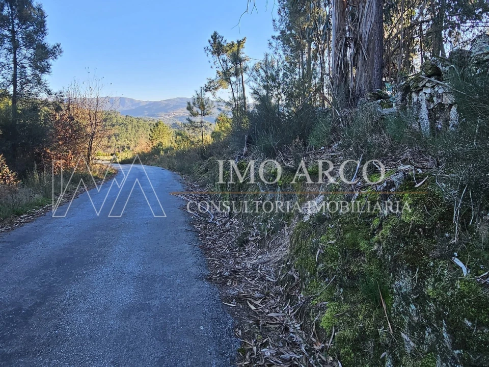 Terreno Agricola ou Rústico para Venda em Pedraça Foto 16