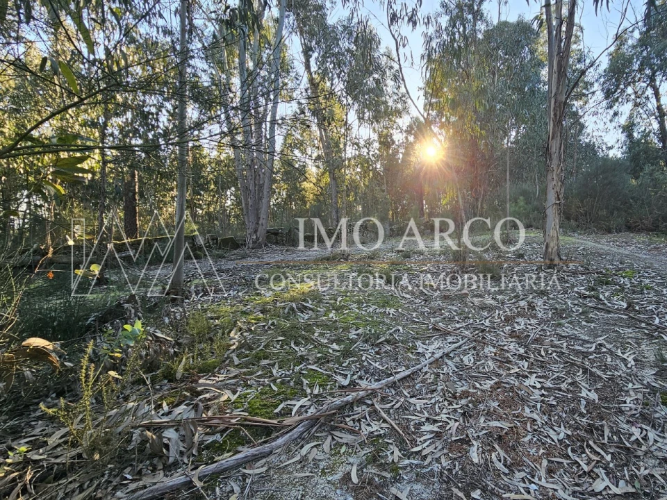 Terreno Agricola ou Rústico para Venda em Pedraça Foto 17