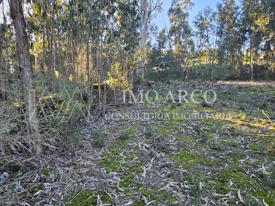 Terreno Agricola ou Rústico para Venda em Pedraça Foto 18