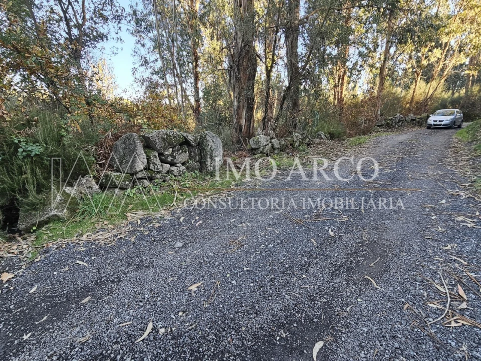 Terreno Agricola ou Rústico para Venda em Pedraça Foto 20