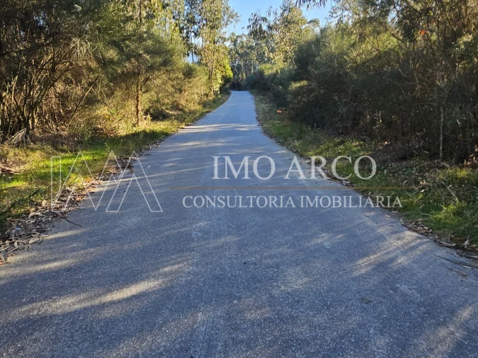 Terreno Agricola ou Rústico para Venda em Pedraça Foto 3