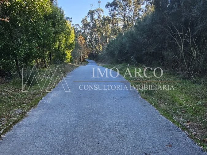 Terreno Agricola ou Rústico para Venda em Pedraça Foto 4