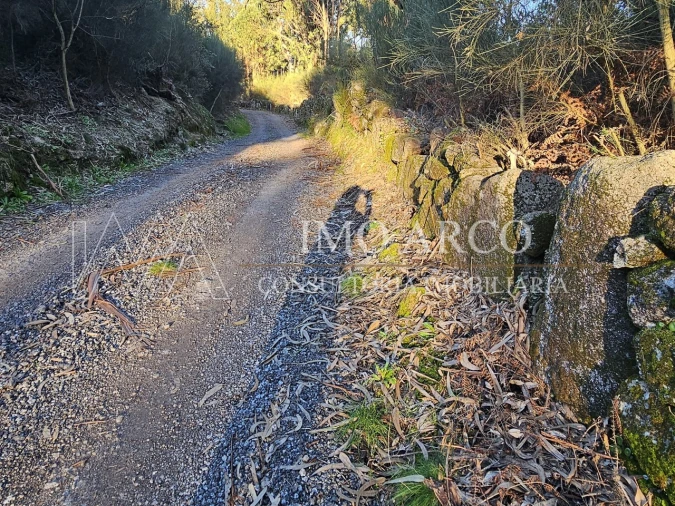 Terreno Agricola ou Rústico para Venda em Pedraça Foto 7