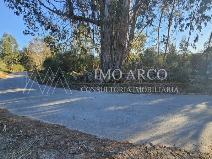 Terreno Agricola ou Rústico para Venda em Pedraça Foto 11