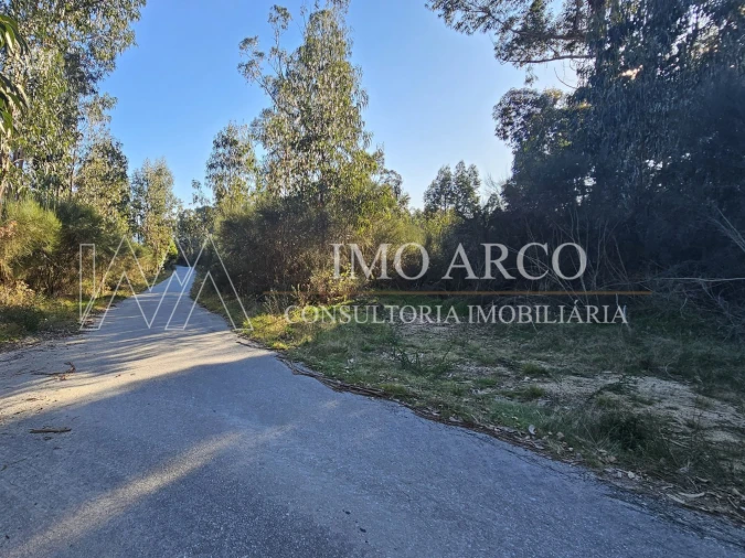 Terreno Agricola ou Rústico para Venda em Pedraça Foto 13