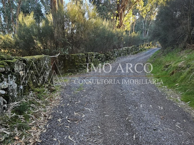 Terreno Agricola ou Rústico para Venda em Pedraça Foto 19