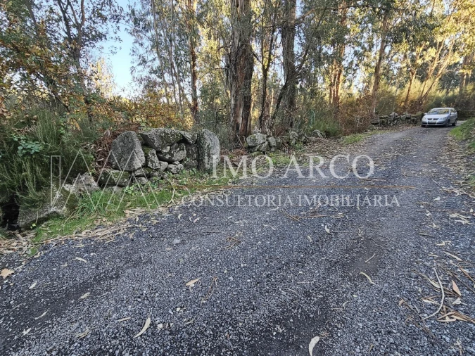 Terreno Agricola ou Rústico para Venda em Pedraça Foto 20