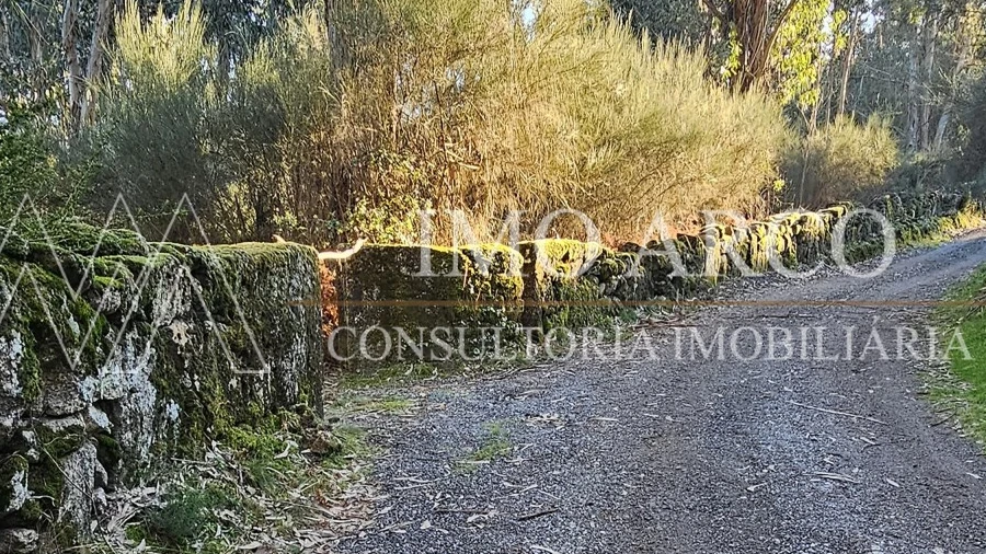 Terreno Agricola ou Rústico para Venda em Pedraça