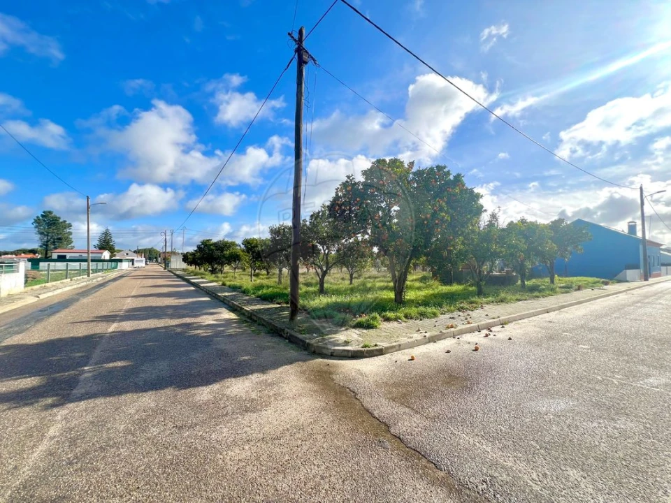 Terreno para Venda em Torrão Foto 4