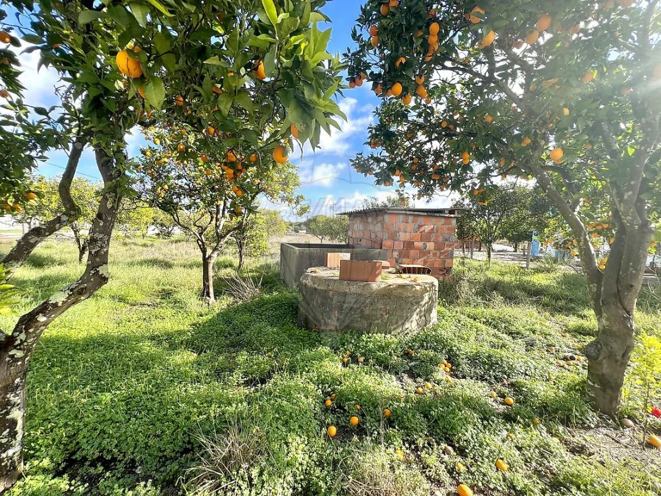 Terreno para Venda em Torrão Foto 1