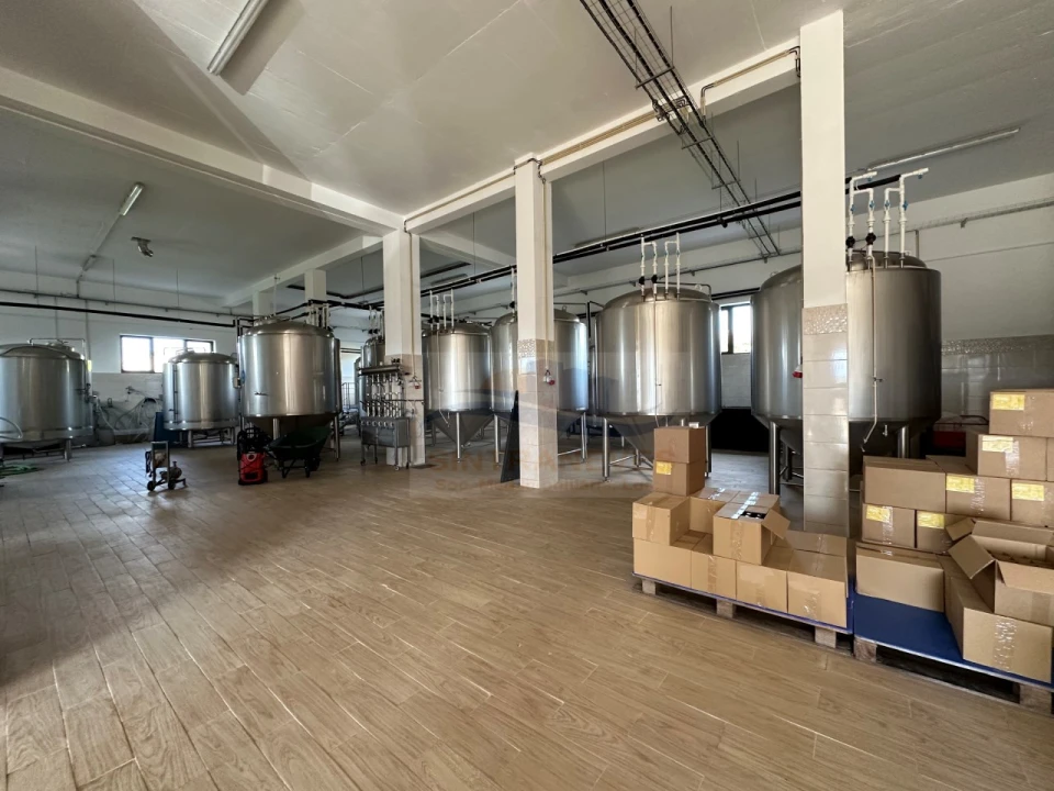 Negócio para Venda em Malveira e São Miguel de Alcainça Foto 1