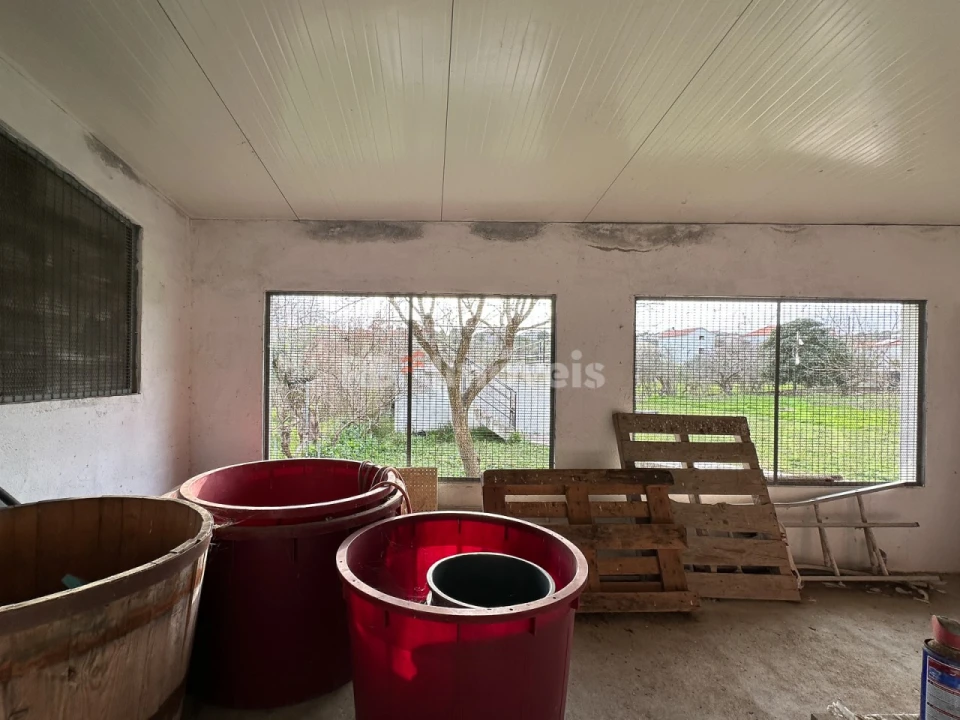 Moradia T2 para Venda em Madalena e Beselga Foto 31