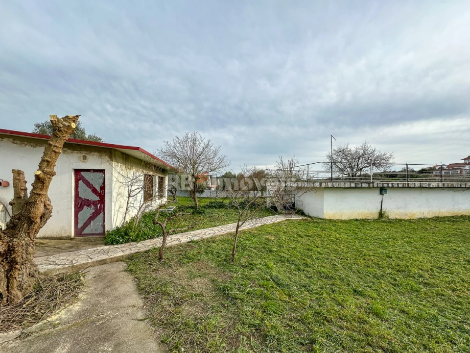 Moradia T2 para Venda em Madalena e Beselga Foto 33