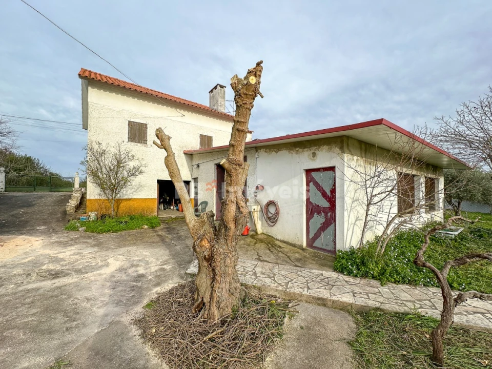 Moradia T2 para Venda em Madalena e Beselga Foto 41