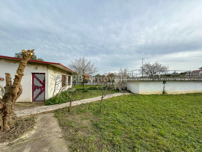 Moradia T2 para Venda em Madalena e Beselga Foto 33