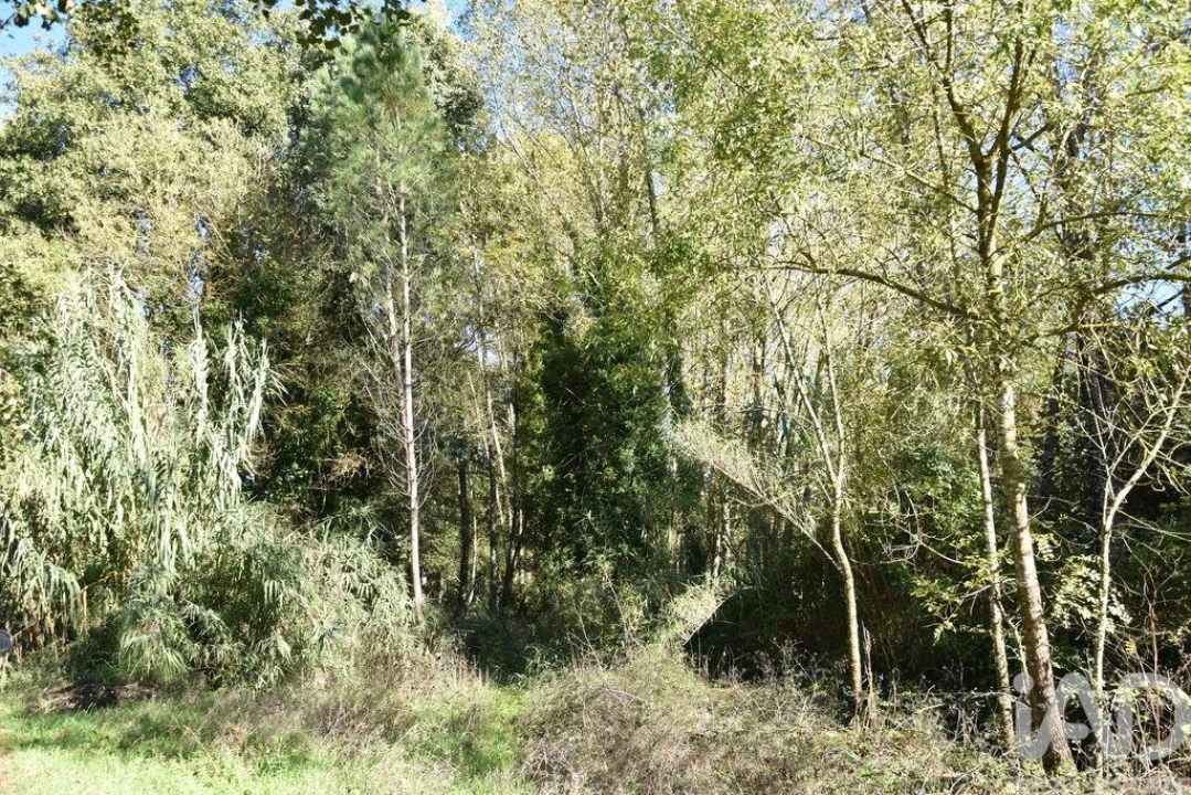 Moradia T1 para Venda em Urqueira Foto 24