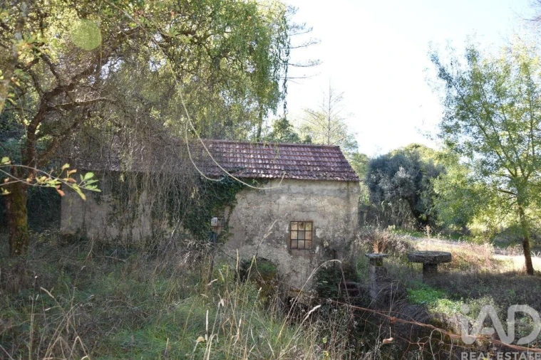 Moradia T1 para Venda em Urqueira Foto 5