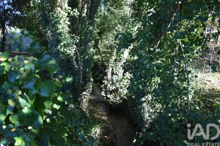 Moradia T1 para Venda em Urqueira Foto 19