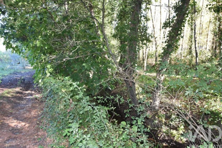 Moradia T1 para Venda em Urqueira Foto 26