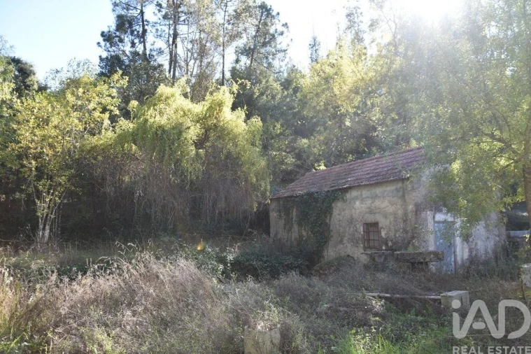 Moradia T1 para Venda em Urqueira Foto 4