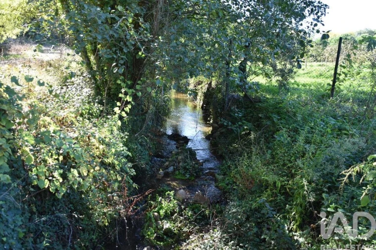 Moradia T1 para Venda em Urqueira Foto 23